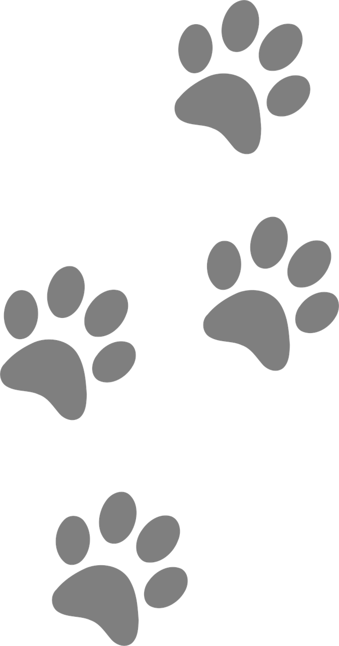 Dog Paw Prints